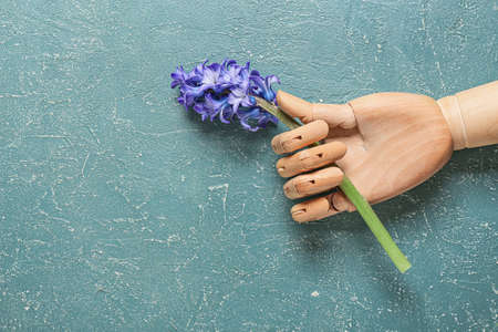 Wooden hand with hyacinth flower on color backgroundの写真素材