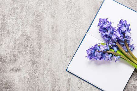 Bouquet of beautiful hyacinth flowers and book on light backgroundの写真素材