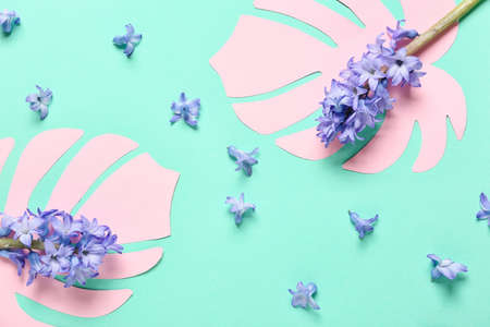 Beautiful hyacinth flowers on color backgroundの写真素材