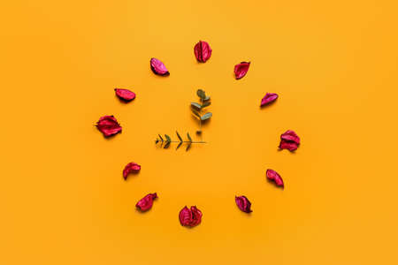 Clock made of flowers petals and eucalyptus branches on color backgroundの写真素材