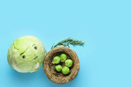 Creative composition with Brussel sprouts in nest and cabbage on blue backgroundの写真素材