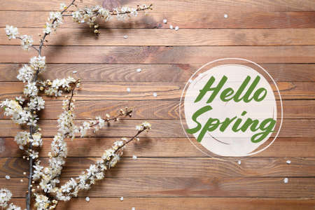 Beautiful blooming tree branches on wooden background. hello springの写真素材
