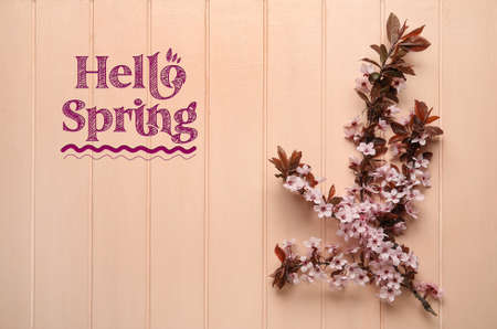 Beautiful blossoming tree branch on color wooden background. hello springの写真素材