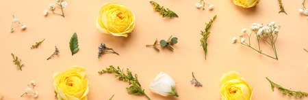 Beautiful fresh flowers on color backgroundの写真素材