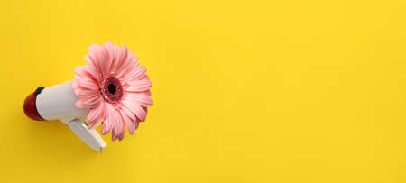 Gerbera flower with megaphone on yellow background with space for textの写真素材