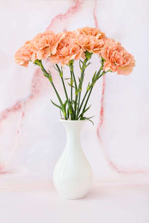 Vase with beautiful carnation flowers on light backgroundの写真素材