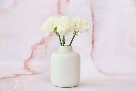 Vase with beautiful carnation flowers on light backgroundの写真素材