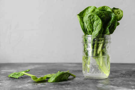 Fresh spinach leaves in glass jar on gray backgroundの写真素材