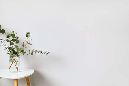 Vase with eucalyptus branches on table near light wallの写真素材