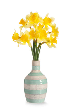 Vase with beautiful daffodils on white backgroundの写真素材