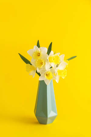 Vase with beautiful daffodils on color backgroundの写真素材