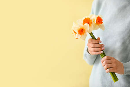 Woman with beautiful daffodils on color background