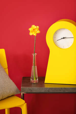 Vase with beautiful narcissus and clock on table against color background