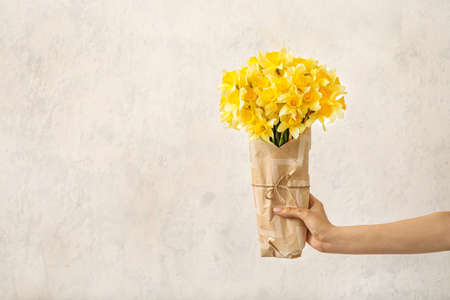 Female hand with beautiful daffodils on light backgroundの写真素材