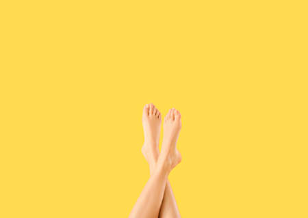 Legs of beautiful woman on color background