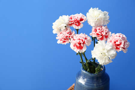 Vase with beautiful carnation flowers on color backgroundの写真素材