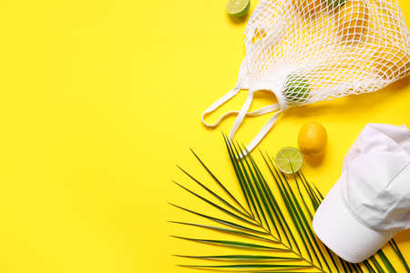 Composition with stylish cap, bag, citrus fruits and palm leaf on color background