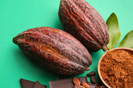 Fresh cocoa fruits, powder and chocolate on color background, closeupの写真素材