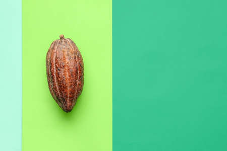 Fresh cocoa fruit on color backgroundの写真素材