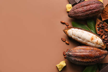Fresh cocoa fruits, beans and butter on color backgroundの写真素材
