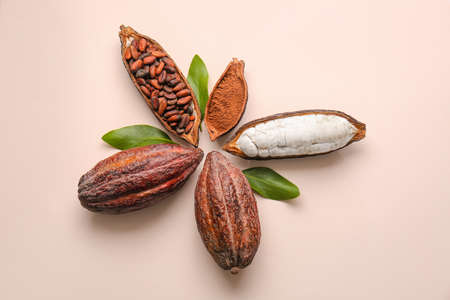 Composition with fresh cocoa fruits, beans and powder on color background