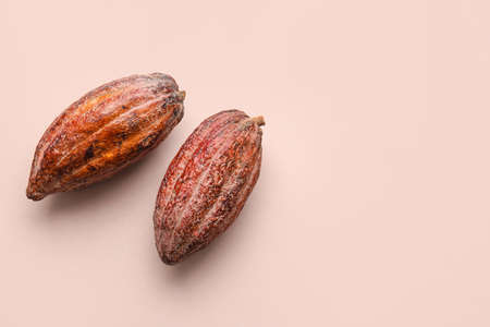 Fresh cocoa fruits on color backgroundの写真素材