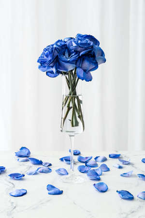 Vase with beautiful blue roses on table against light backgroundの写真素材