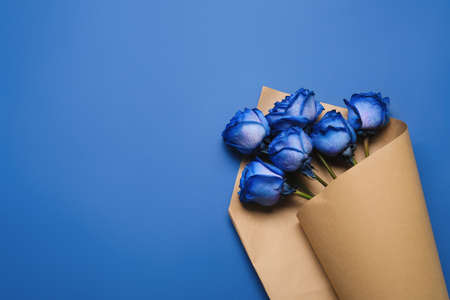 Beautiful blue roses on color backgroundの写真素材