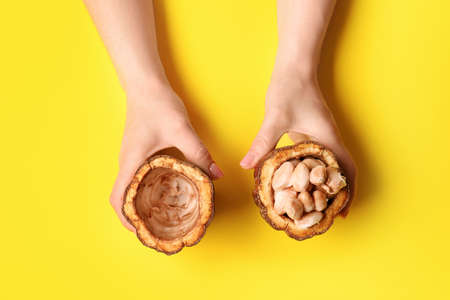 Woman holding fresh cocoa fruit on color backgroundの写真素材