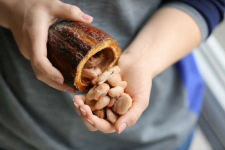 Woman holding fresh cocoa fruit, closeupの写真素材