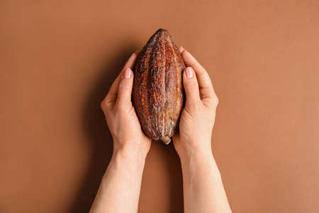Woman holding fresh cocoa fruit on color backgroundの写真素材