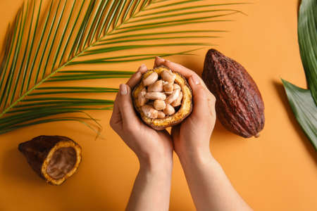 Woman holding fresh cocoa fruit on color backgroundの写真素材