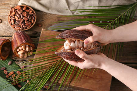Woman holding fresh cocoa fruit on wooden background