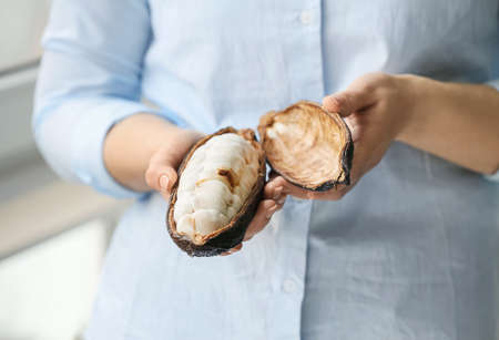 Woman holding fresh cocoa fruit, closeupの写真素材