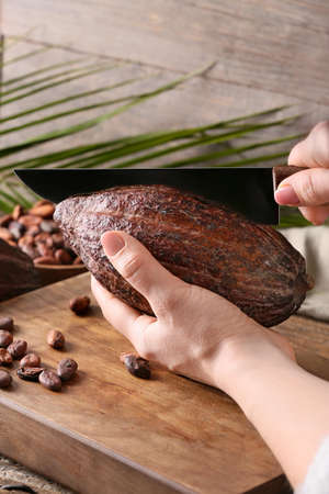 Woman cutting fresh cocoa fruit on wooden backgroundの写真素材