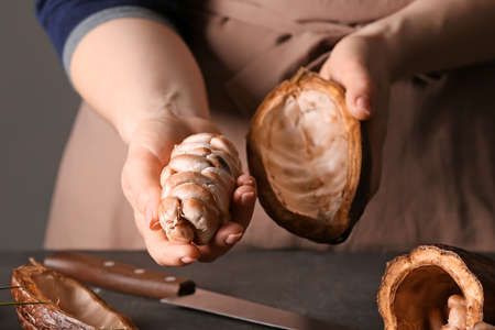 Woman holding fresh cocoa fruit at table, closeupの写真素材