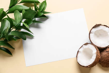 Blank sheet of paper, coconuts and plant branches on color backgroundの写真素材
