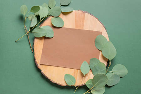 Composition with blank card, wooden board and plant branches on color background