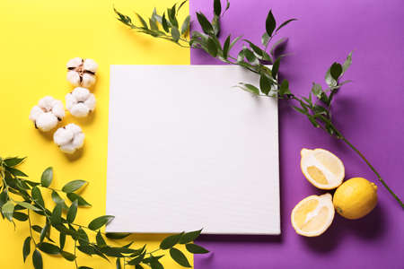 Composition with blank poster, lemons, plant branches and cotton flowers on color background