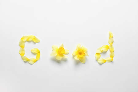Word GOOD made of beautiful daffodils on light backgroundの写真素材