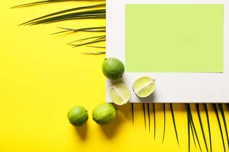 Composition with blank card, poster and limes on color background, closeupの写真素材