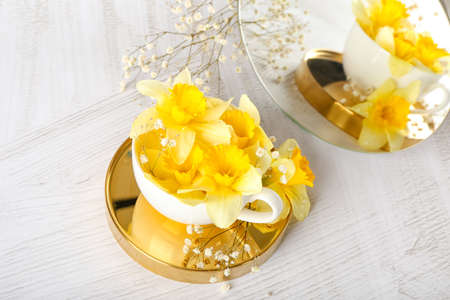Cup with beautiful daffodils on light backgroundの写真素材