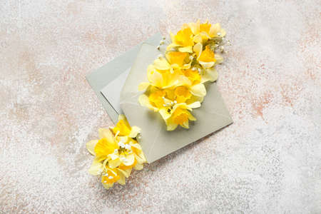 Envelope with beautiful daffodils on light background