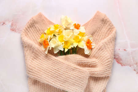 Creative composition with beautiful daffodils and sweater on light backgroundの写真素材