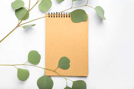 Blank notebook and eucalyptus branches on white background