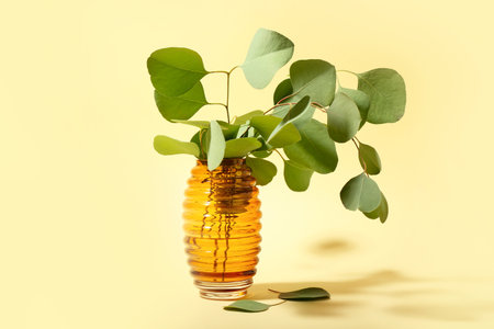 Vase with eucalyptus branches on color backgroundの写真素材