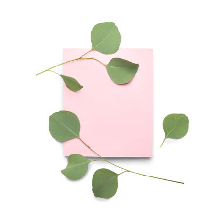 Blank paper sheet and eucalyptus branches on white background
