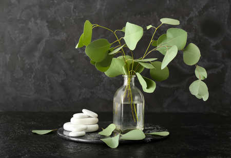 Vase with eucalyptus branches on dark backgroundの写真素材