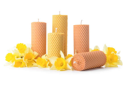 Wax candles and narcissus flowers on white backgroundの写真素材