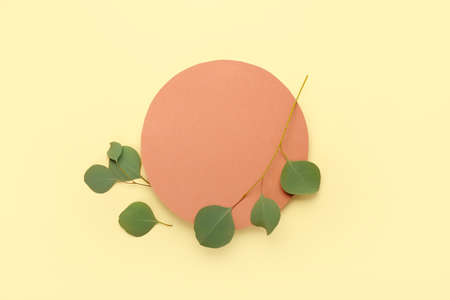 Blank paper sheet and eucalyptus branch on color backgroundの写真素材